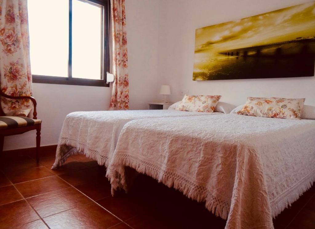 Apartamentos Turisticos Trajano ボロニア エクステリア 写真